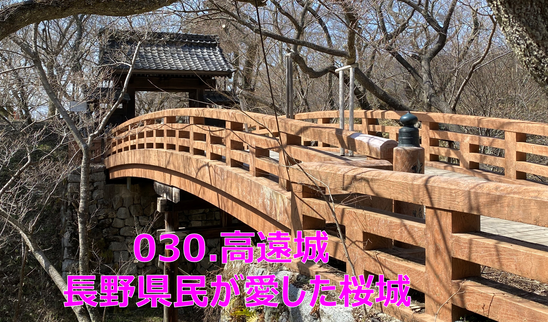 長野県タイプＢ、山田城、蟻塚城、殿嶋城、市野瀬古城、遠野城イベント限定、 105384.jpg